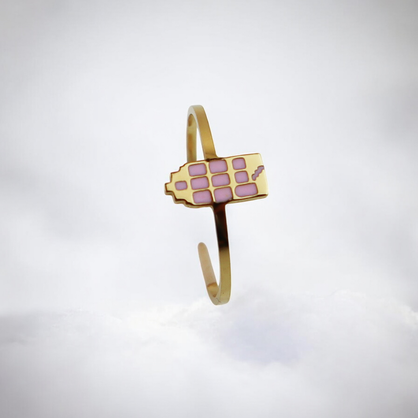 Drupt Ring Het Grachtenpandje Goud Roze