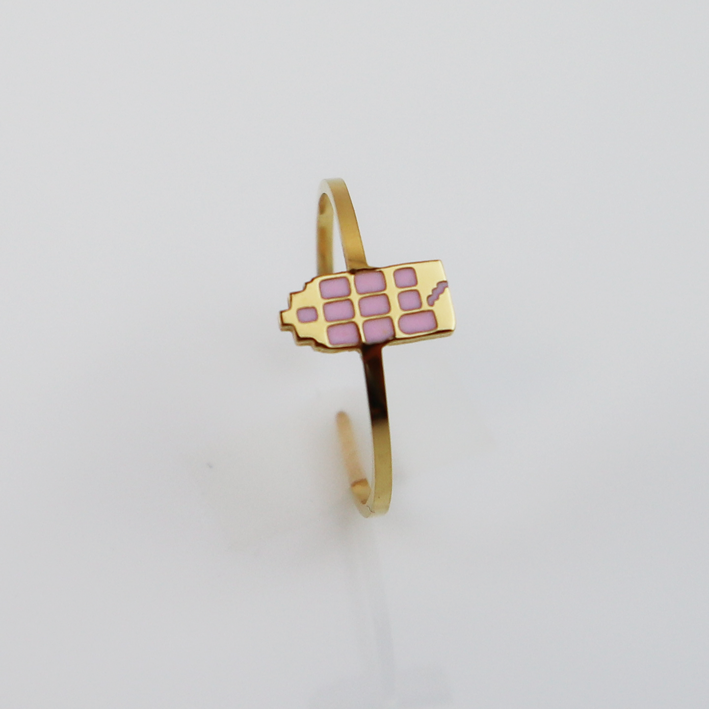 Drupt Ring Het Grachtenpandje Goud Roze