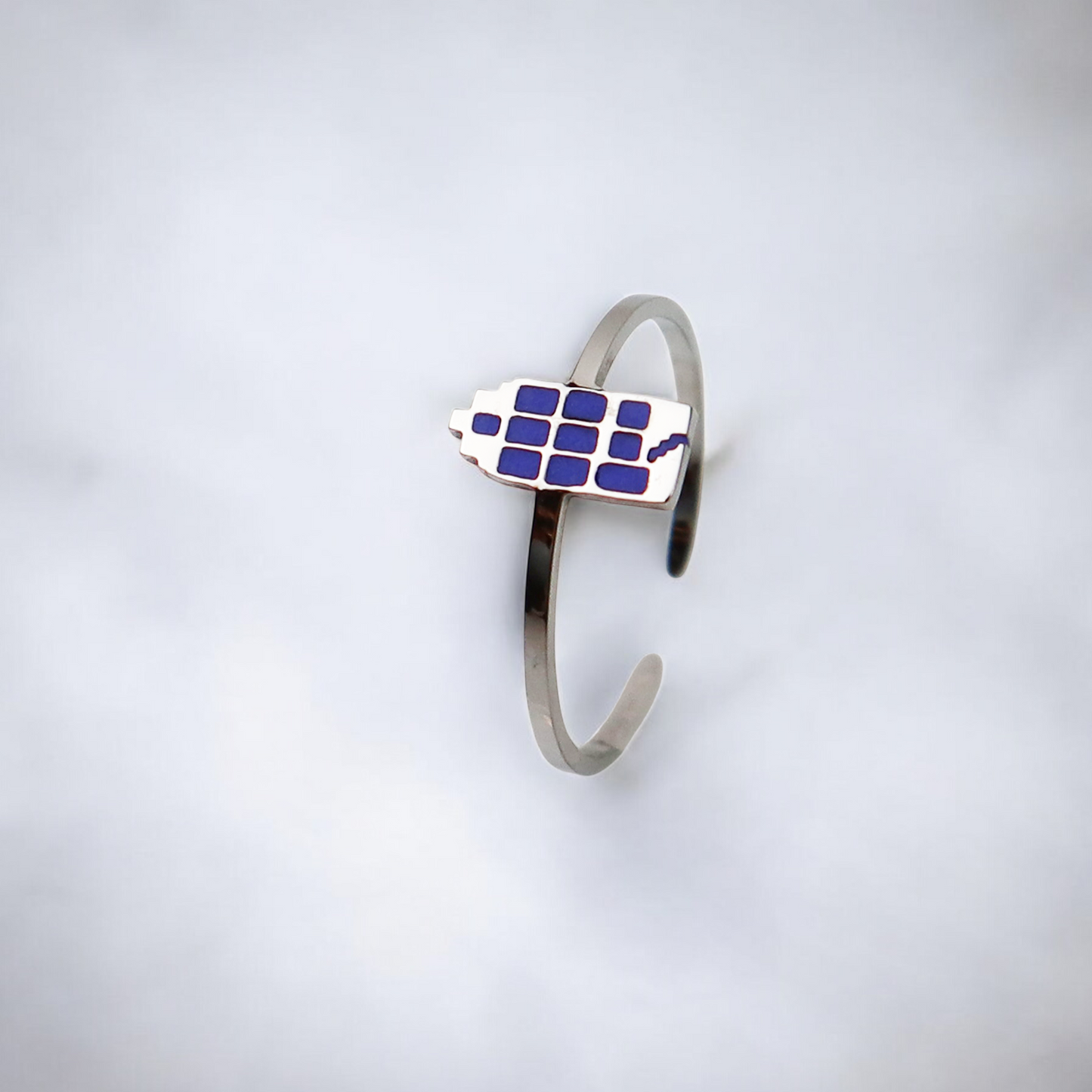 Drupt Ring Het Grachtenpandje Zilver Blauw